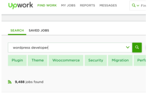 upwork wordpress developer jobs